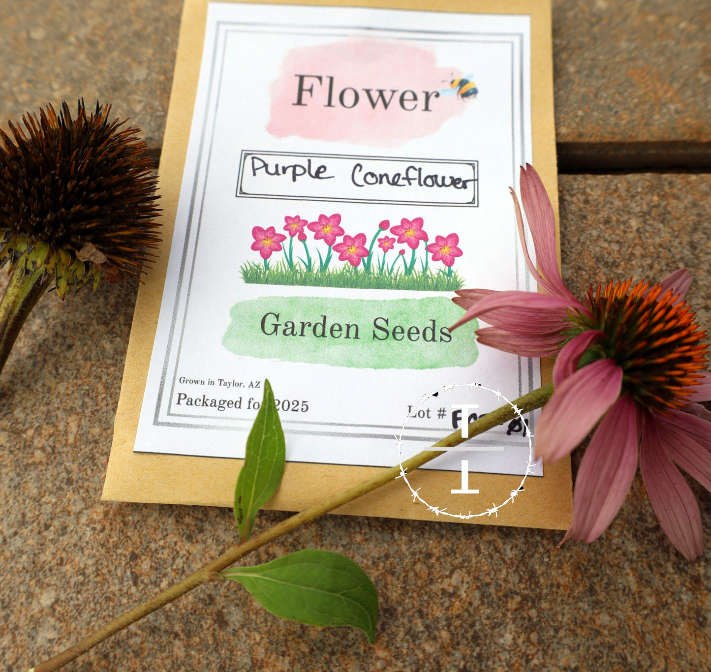 Purple Coneflower