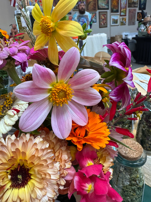 Bunny Ears Inspired (Seed Dahlia)