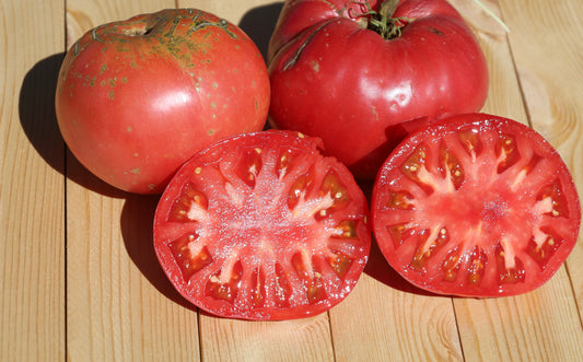 West Virginia Sweet Meat Tomato