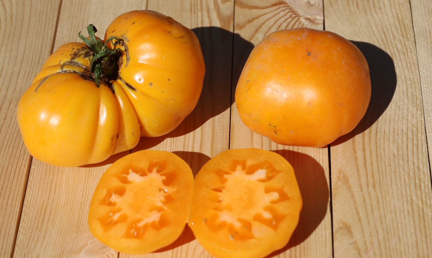 Siskiyou Orange Tomato