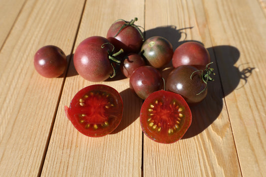 Black Cherry Tomato