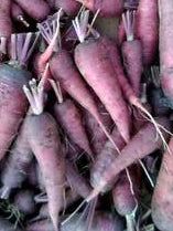 Dragon Carrot