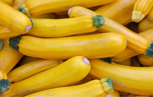 Golden Zucchini