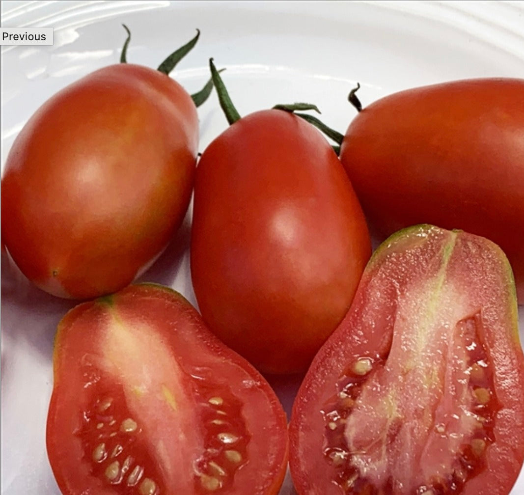 Akers Plum Tomato