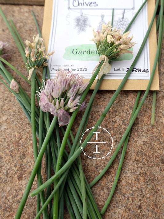 Chives