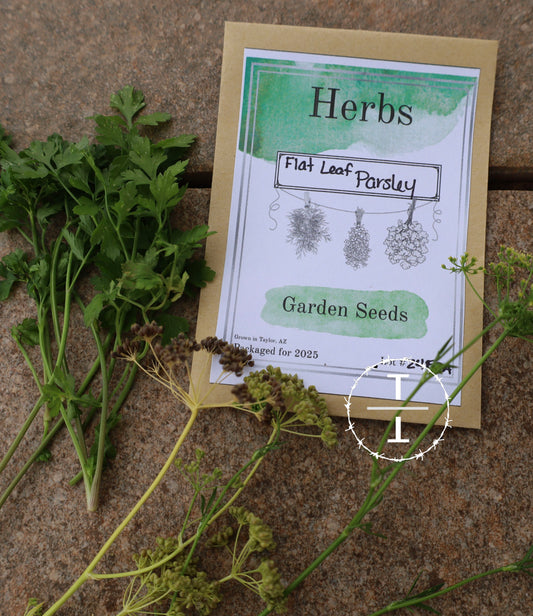 Flat Leaf Parsley