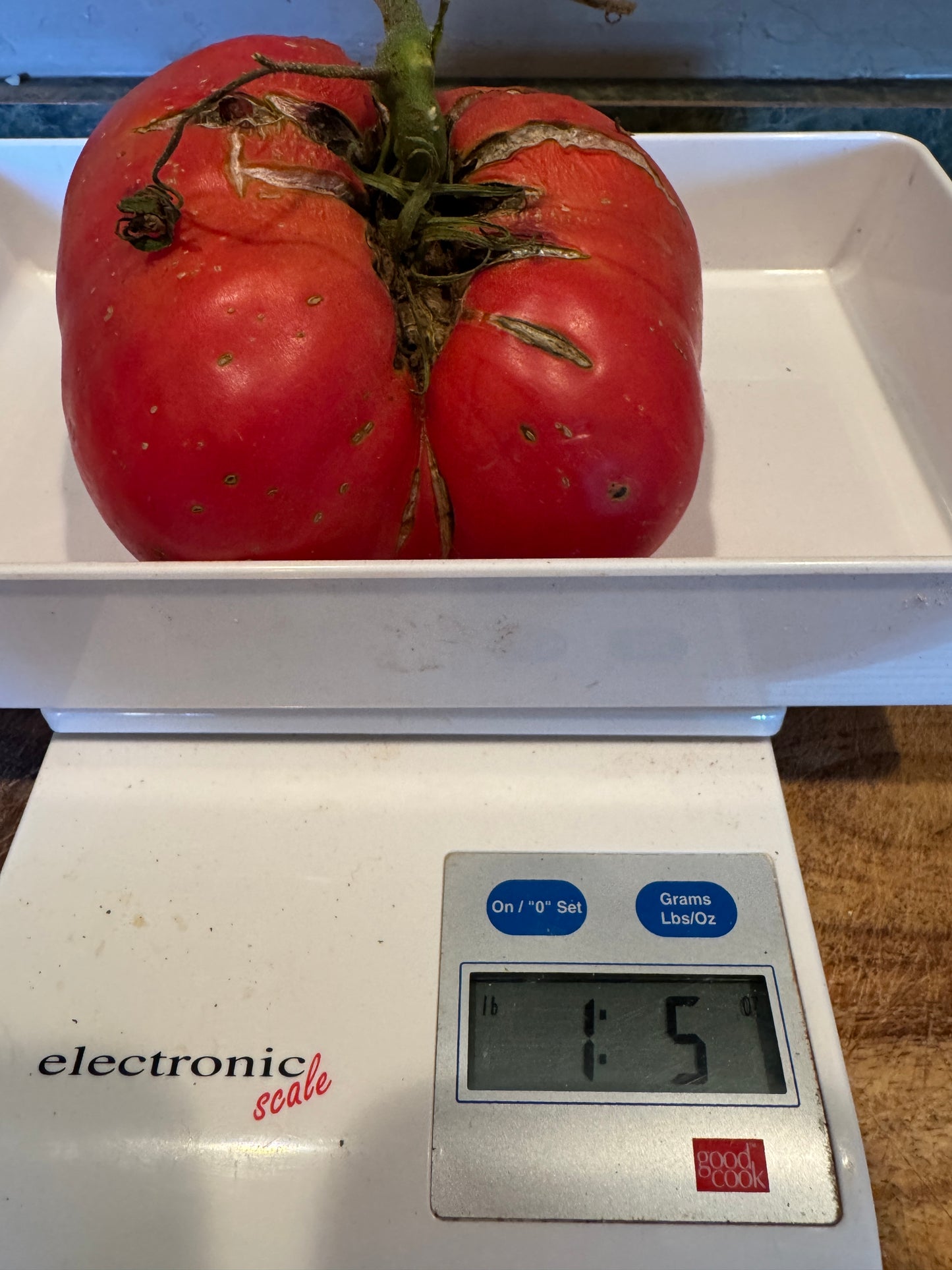 Cuostralee Tomato