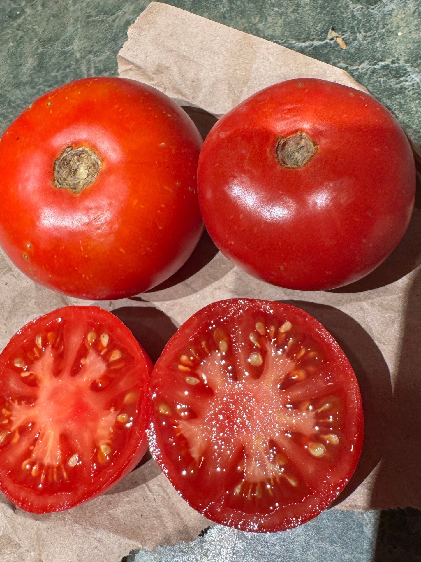 Stupice Tomato