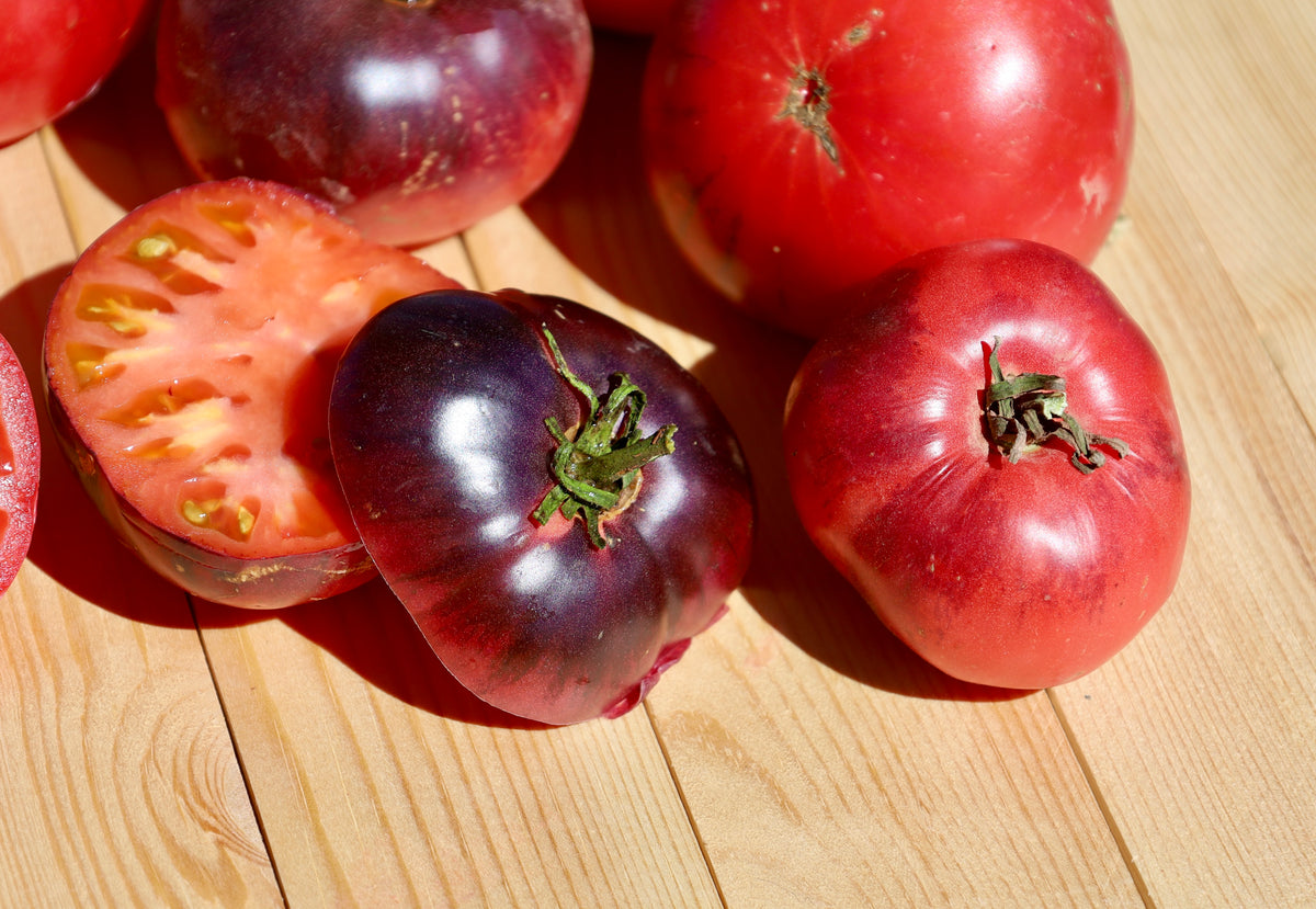 Tomato Blue Raff Blue Beauty Tomato – Double T Bar Farm Store