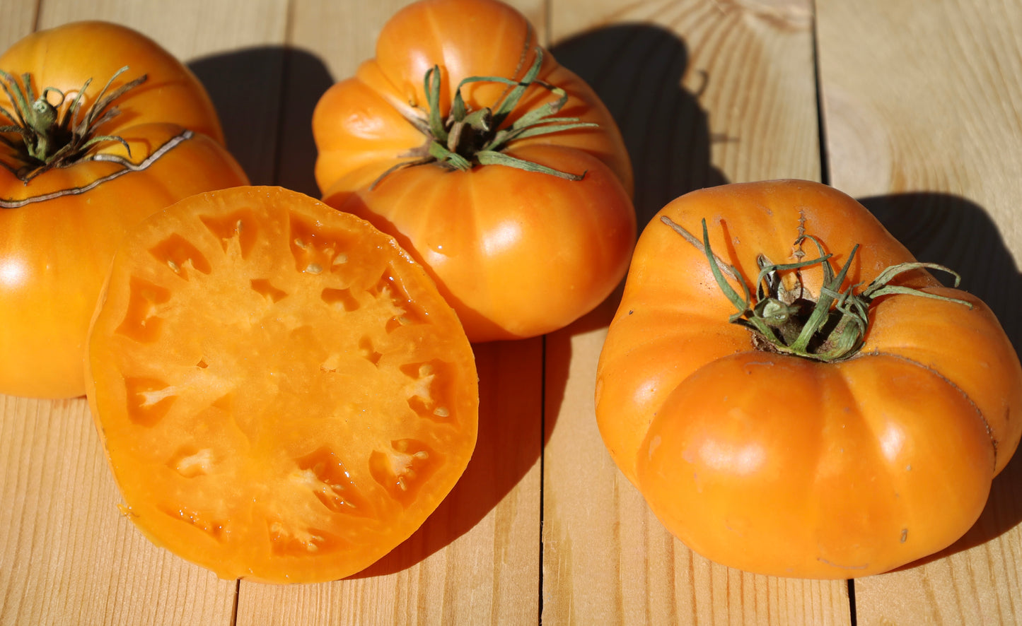 Blue's Yellow Beefsteak Tomato