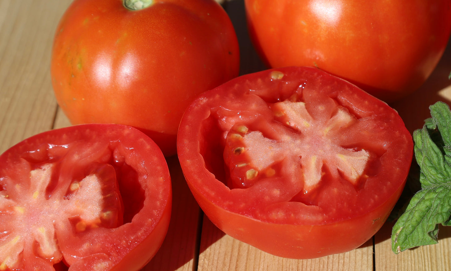 Red Czech Tomato